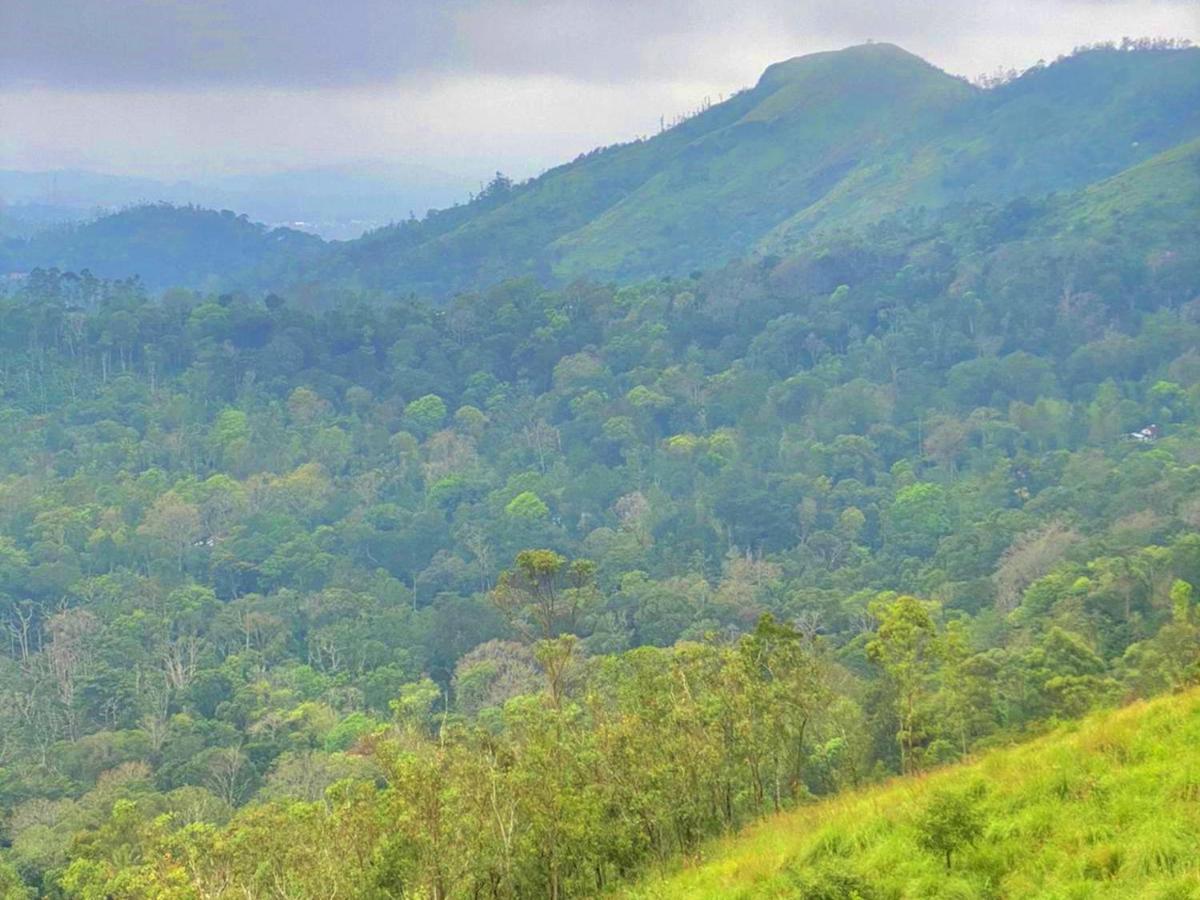 The Windy Mist Resort Munnar Chinnakanal Экстерьер фото